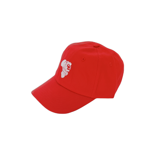 Red Relaxed AR Hat
