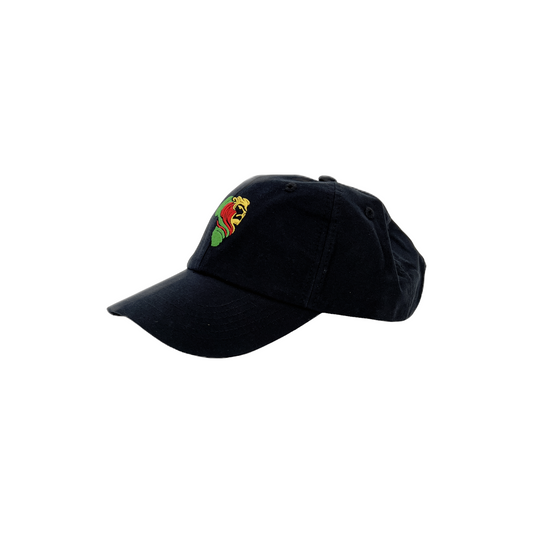 Relaxed Fit Oxford Hat