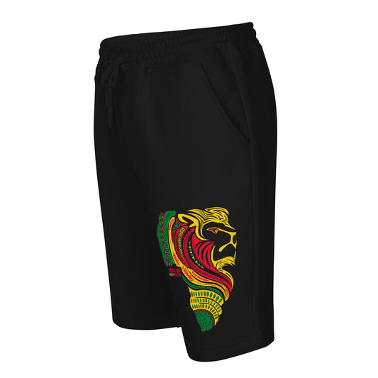 AR Men's fleece shorts